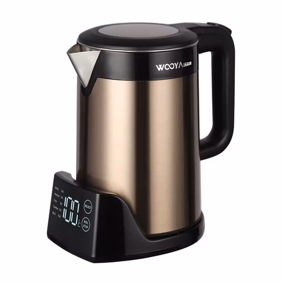 Hervidor eléctrico digital de acero inoxidable de 1,5 l y 1500 W, modelo No Wey